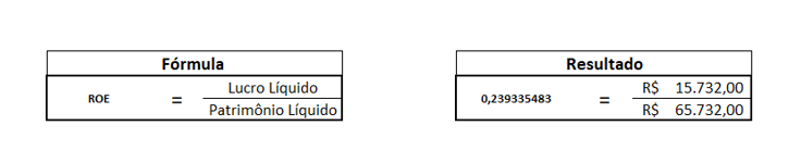 Análise_financeira_do_Retorno_sobre Patrimônio_Líquido_consciencia_de_investidor
